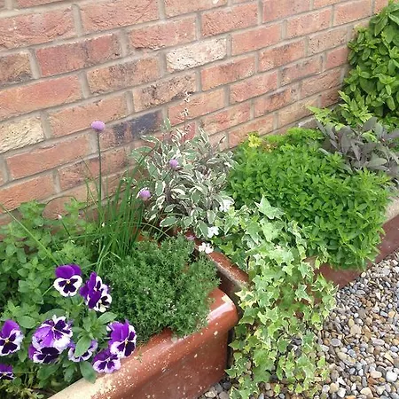 Guest house No93 Oower Hoose York